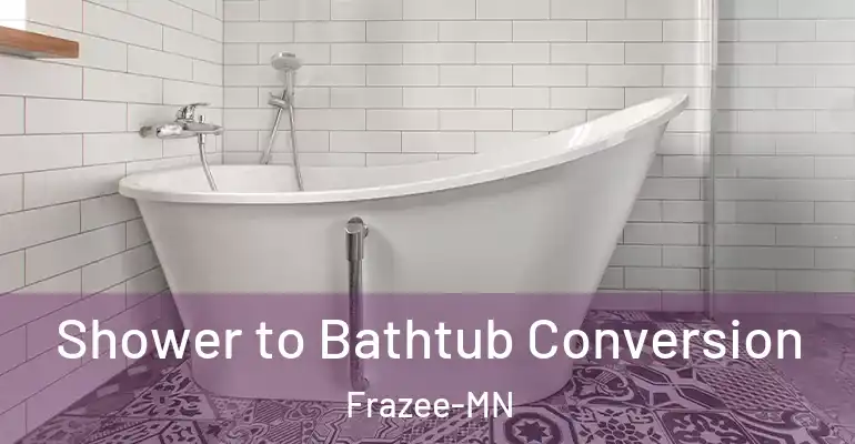 inner Bathroom imggen Shower to Bathtub Conversion Frazee-MN