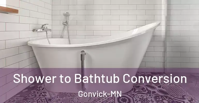 inner Bathroom imggen Shower to Bathtub Conversion Gonvick-MN