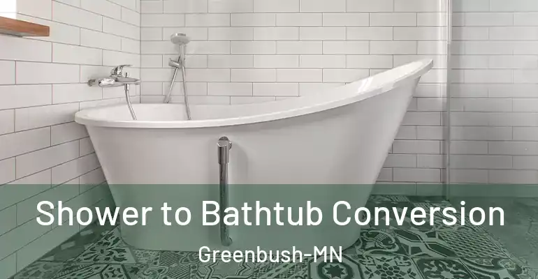 inner Bathroom imggen Shower to Bathtub Conversion Greenbush-MN