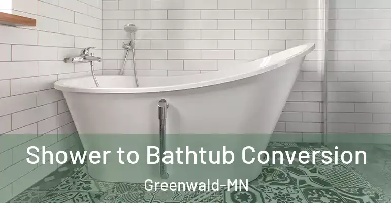 inner Bathroom imggen Shower to Bathtub Conversion Greenwald-MN