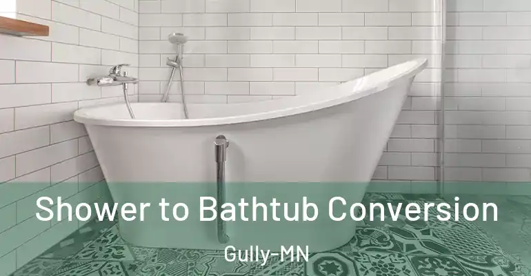 inner Bathroom imggen Shower to Bathtub Conversion Gully-MN