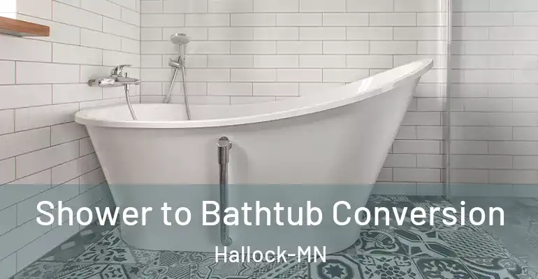 inner Bathroom imggen Shower to Bathtub Conversion Hallock-MN