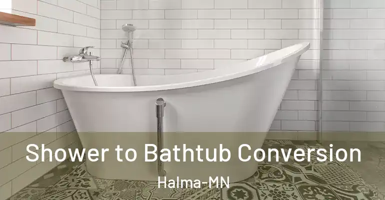 inner Bathroom imggen Shower to Bathtub Conversion Halma-MN