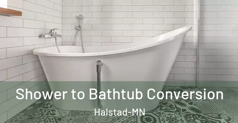 inner Bathroom imggen Shower to Bathtub Conversion Halstad-MN