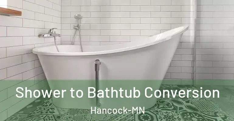 inner Bathroom imggen Shower to Bathtub Conversion Hancock-MN