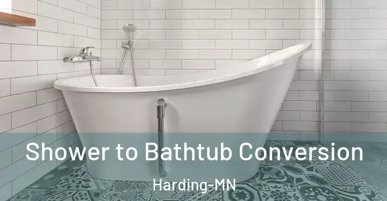 inner Bathroom imggen Shower to Bathtub Conversion Harding-MN