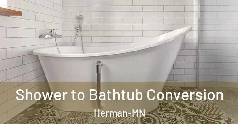 inner Bathroom imggen Shower to Bathtub Conversion Herman-MN