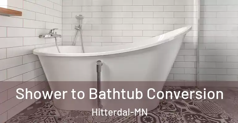 inner Bathroom imggen Shower to Bathtub Conversion Hitterdal-MN