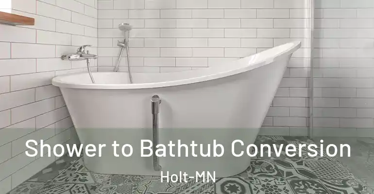 inner Bathroom imggen Shower to Bathtub Conversion Holt-MN