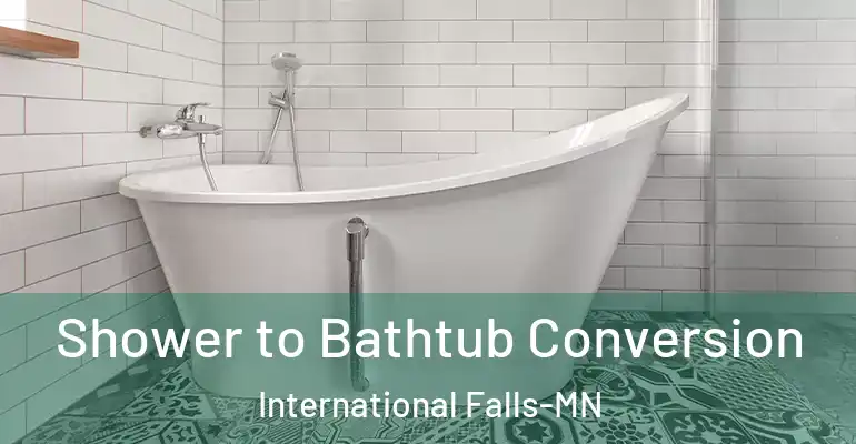 inner Bathroom imggen Shower to Bathtub Conversion International Falls-MN