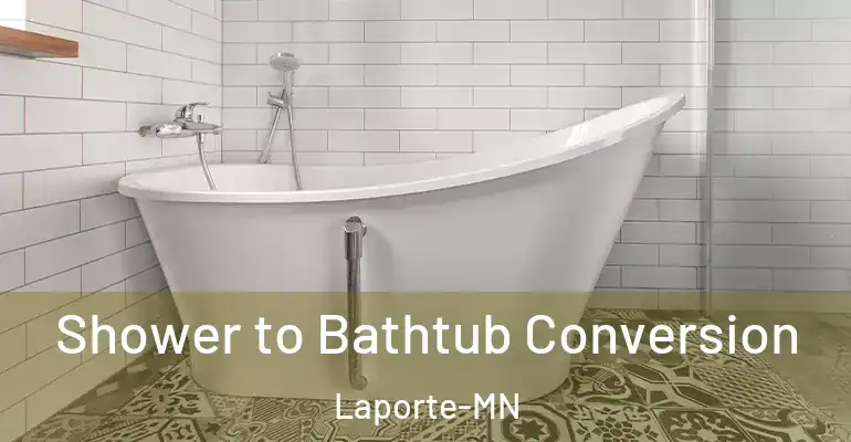 inner Bathroom imggen Shower to Bathtub Conversion Laporte-MN