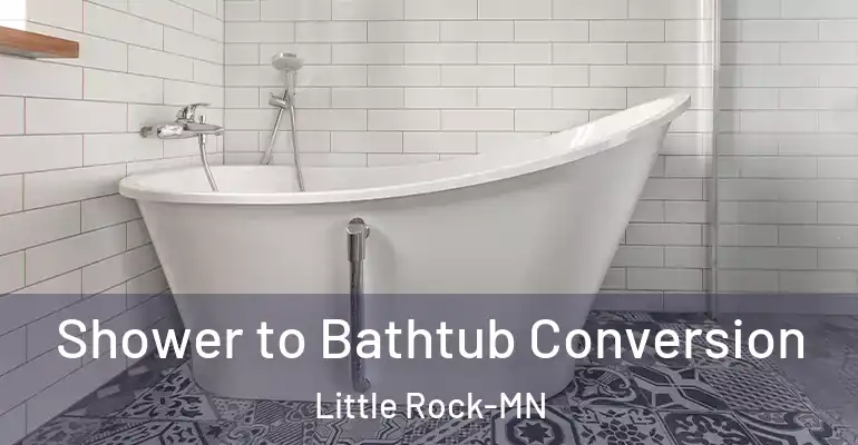 inner Bathroom imggen Shower to Bathtub Conversion Little Rock-MN