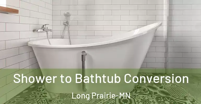 inner Bathroom imggen Shower to Bathtub Conversion Long Prairie-MN