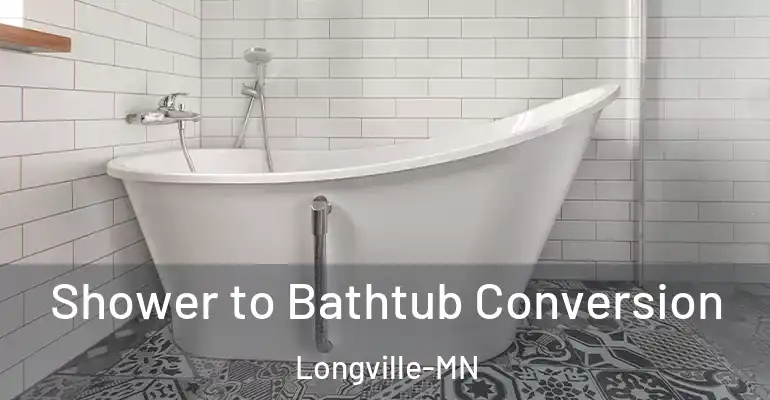 inner Bathroom imggen Shower to Bathtub Conversion Longville-MN