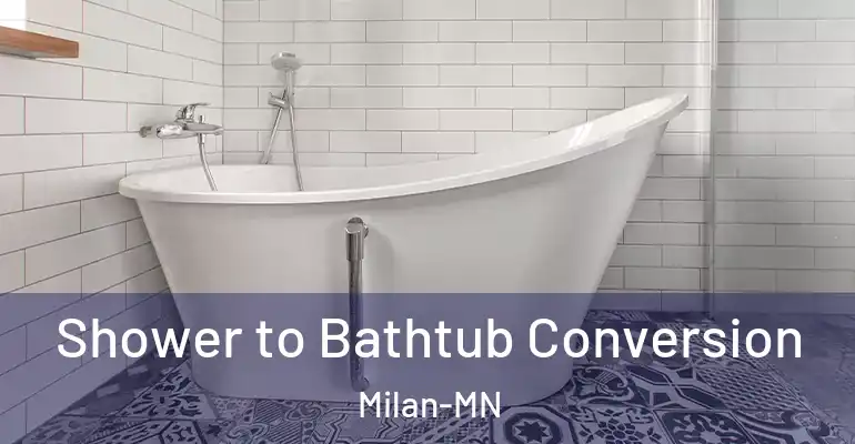 inner Bathroom imggen Shower to Bathtub Conversion Milan-MN