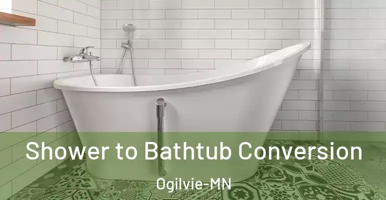 inner Bathroom imggen Shower to Bathtub Conversion Ogilvie-MN