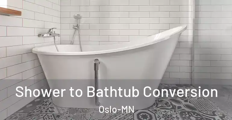 inner Bathroom imggen Shower to Bathtub Conversion Oslo-MN