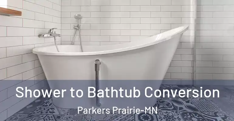 inner Bathroom imggen Shower to Bathtub Conversion Parkers Prairie-MN