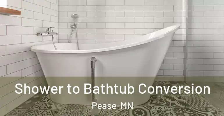 inner Bathroom imggen Shower to Bathtub Conversion Pease-MN