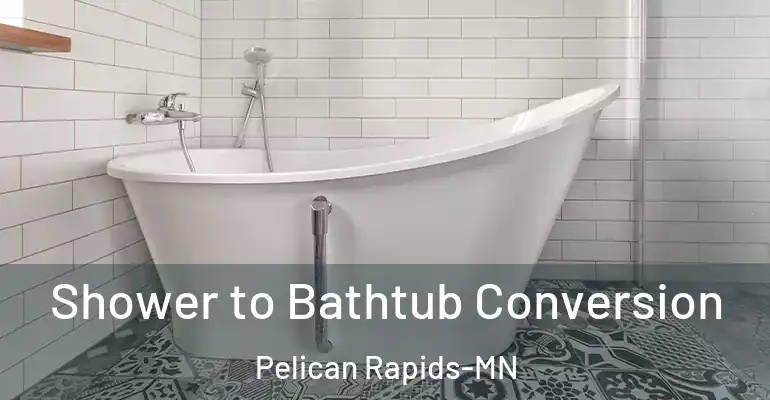 inner Bathroom imggen Shower to Bathtub Conversion Pelican Rapids-MN