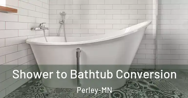 inner Bathroom imggen Shower to Bathtub Conversion Perley-MN