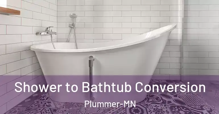 inner Bathroom imggen Shower to Bathtub Conversion Plummer-MN