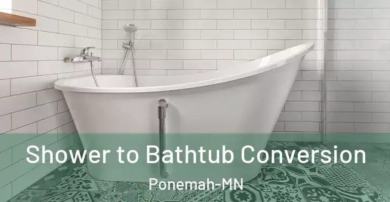 inner Bathroom imggen Shower to Bathtub Conversion Ponemah-MN