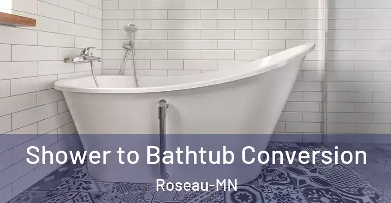 inner Bathroom imggen Shower to Bathtub Conversion Roseau-MN