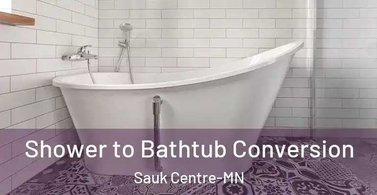 inner Bathroom imggen Shower to Bathtub Conversion Sauk Centre-MN