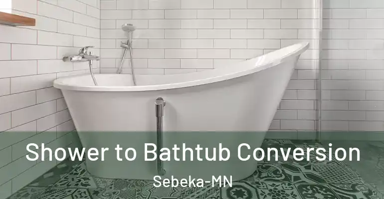 inner Bathroom imggen Shower to Bathtub Conversion Sebeka-MN