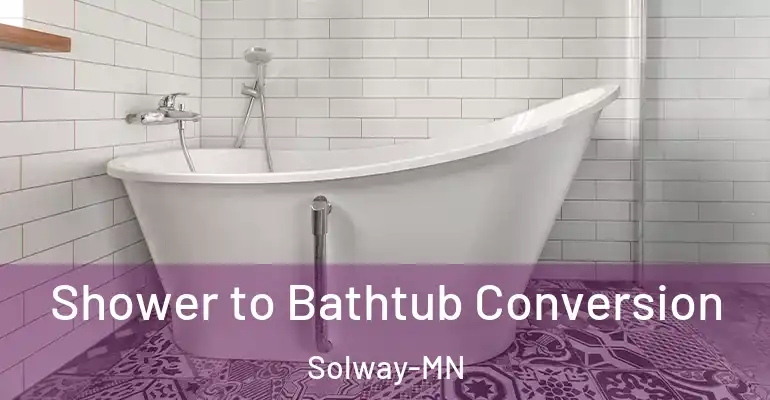 inner Bathroom imggen Shower to Bathtub Conversion Solway-MN