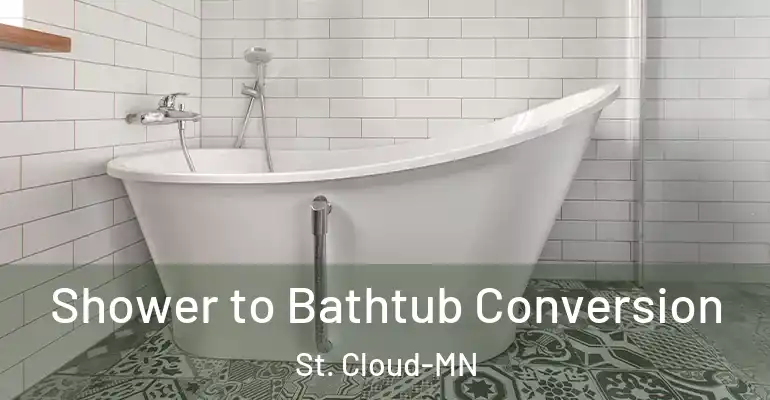 inner Bathroom imggen Shower to Bathtub Conversion St. Cloud-MN