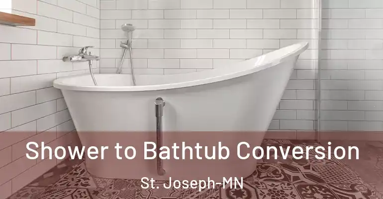 inner Bathroom imggen Shower to Bathtub Conversion St. Joseph-MN