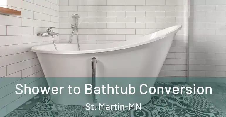 inner Bathroom imggen Shower to Bathtub Conversion St. Martin-MN