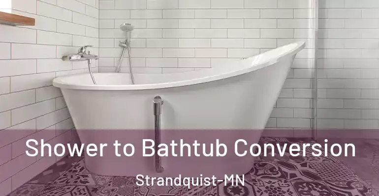 inner Bathroom imggen Shower to Bathtub Conversion Strandquist-MN