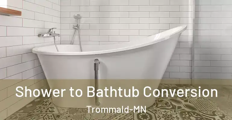 inner Bathroom imggen Shower to Bathtub Conversion Trommald-MN