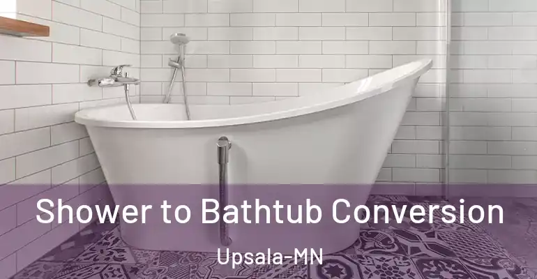 inner Bathroom imggen Shower to Bathtub Conversion Upsala-MN