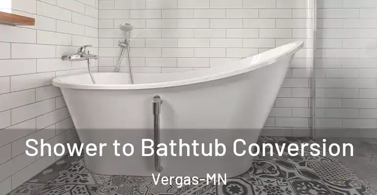 inner Bathroom imggen Shower to Bathtub Conversion Vergas-MN
