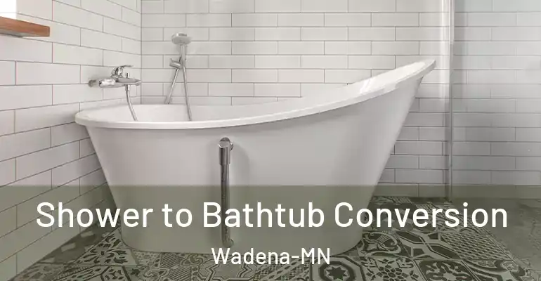 inner Bathroom imggen Shower to Bathtub Conversion Wadena-MN