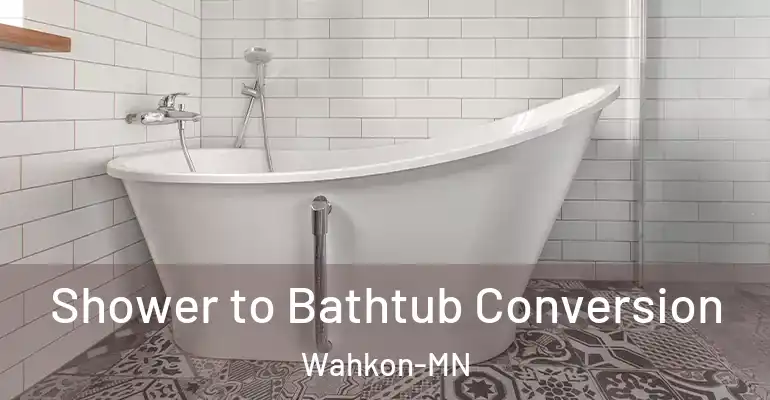 inner Bathroom imggen Shower to Bathtub Conversion Wahkon-MN