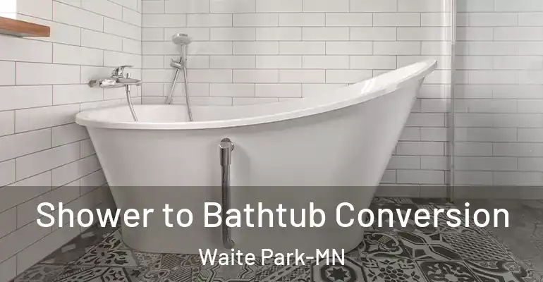 inner Bathroom imggen Shower to Bathtub Conversion Waite Park-MN