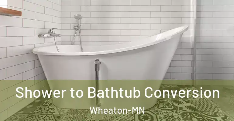 inner Bathroom imggen Shower to Bathtub Conversion Wheaton-MN