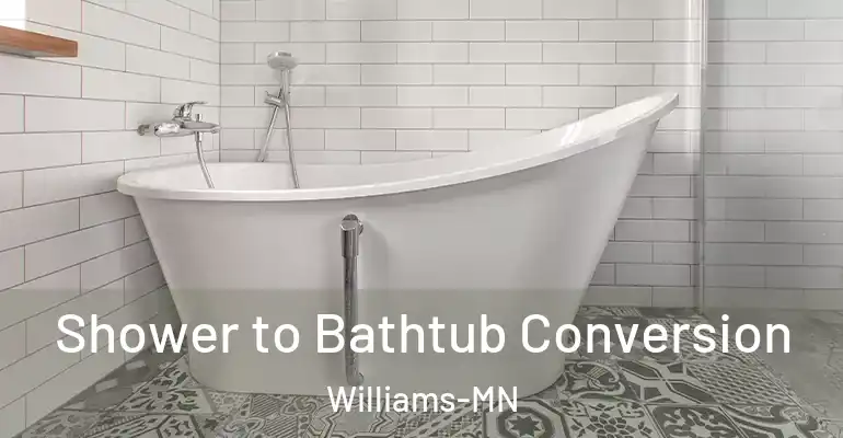 inner Bathroom imggen Shower to Bathtub Conversion Williams-MN