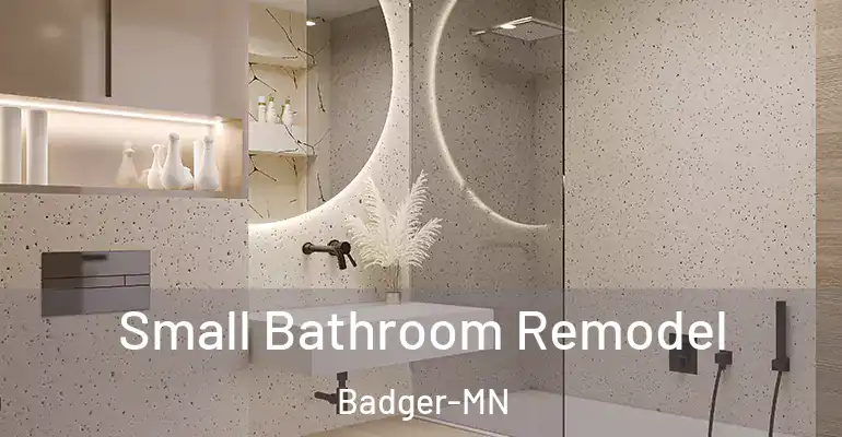 inner Bathroom imggen Small Bathroom Remodel Badger-MN