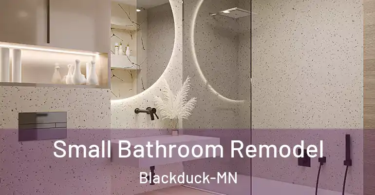 inner Bathroom imggen Small Bathroom Remodel Blackduck-MN