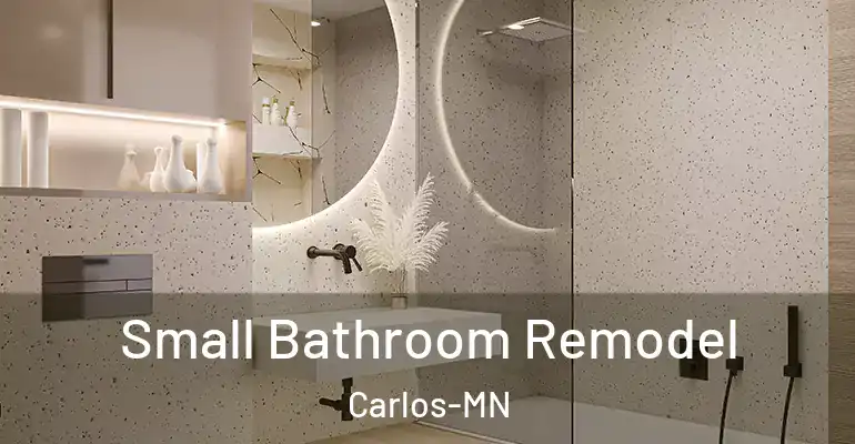 inner Bathroom imggen Small Bathroom Remodel Carlos-MN
