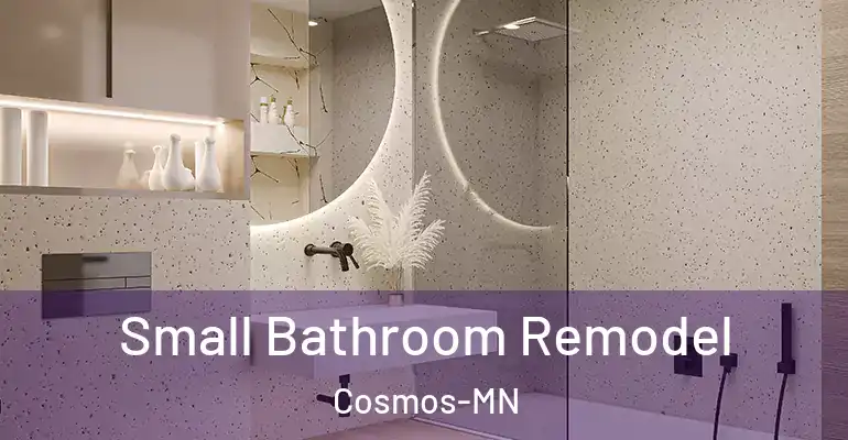 inner Bathroom imggen Small Bathroom Remodel Cosmos-MN