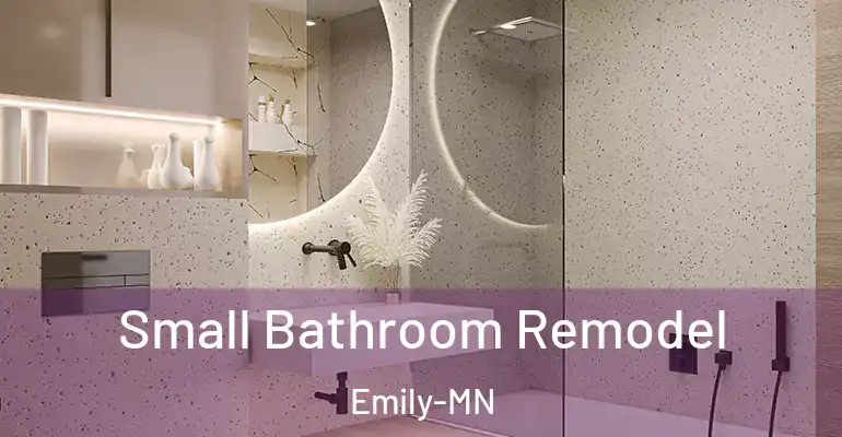inner Bathroom imggen Small Bathroom Remodel Emily-MN