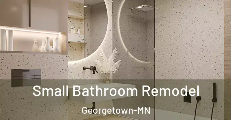 inner Bathroom imggen Small Bathroom Remodel Georgetown-MN