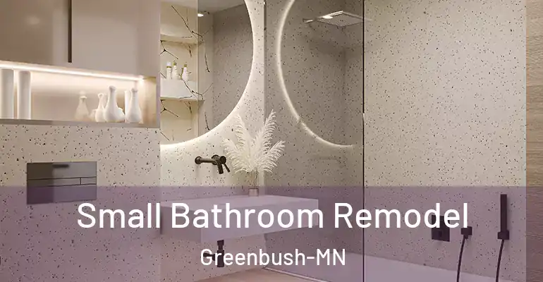 inner Bathroom imggen Small Bathroom Remodel Greenbush-MN